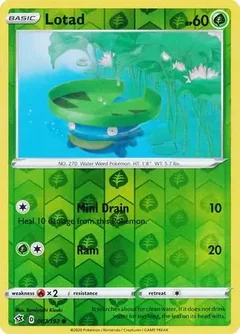Lotad Reverse Holo 007