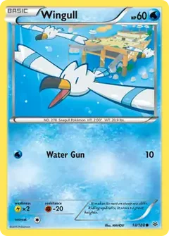 Wingull 18