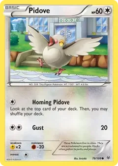 Pidove 78