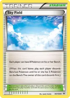 Sky Field 89