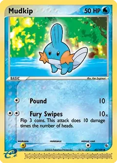 Mudkip 60