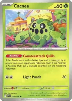 Cacnea 005