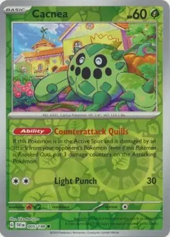 Cacnea Reverse Holo 005