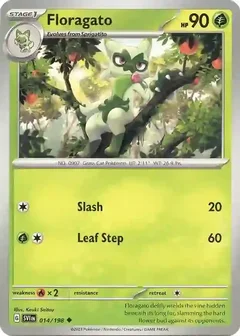 Floragato 014
