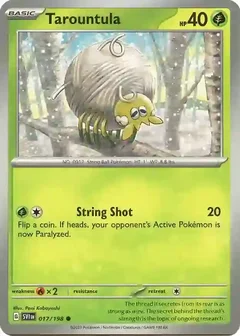 Tarountula 017