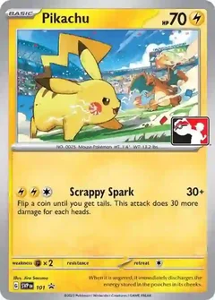 Pikachu 101
