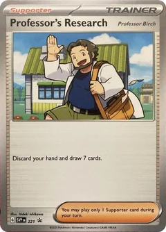 Professor's Research 221