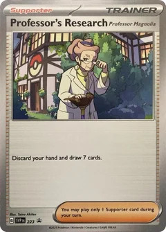 Professor's Research 223