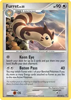Furret 27