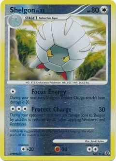 Shelgon Reverse Holo 64
