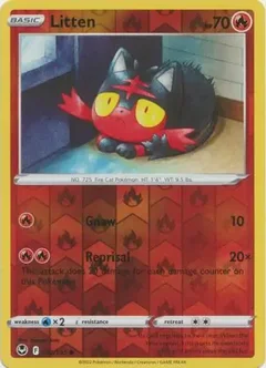 Litten Reverse Holo 030