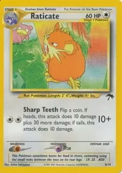 Raticate 6
