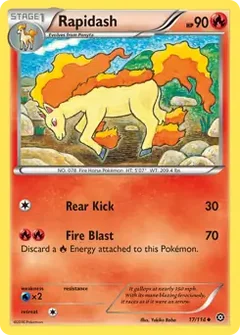 Rapidash 17