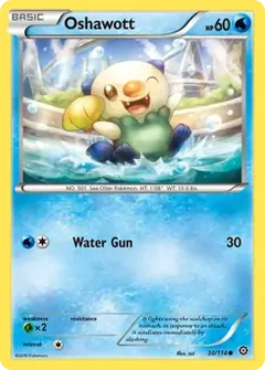 Oshawott 30
