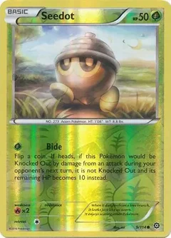 Seedot Reverse Holo 9