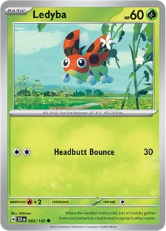 Ledyba 002