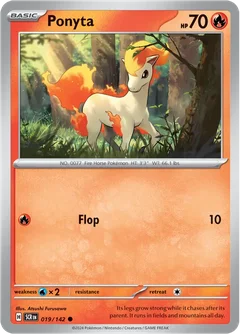 Ponyta 019