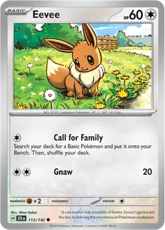Eevee 113