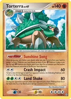 Torterra 11