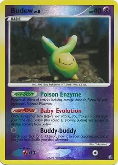 Budew Reverse Holo 33