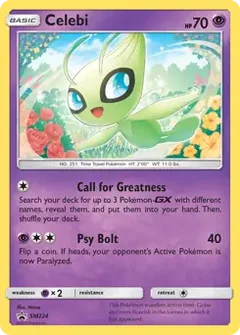 Celebi SM224