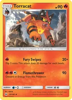 Torracat 25