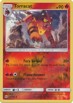 Torracat Reverse Holo 25