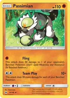 Passimian 73
