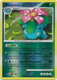 Venusaur Reverse Holo 13