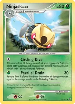 Ninjask 73