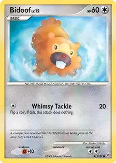 Bidoof 91