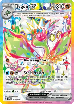 Flygon 222