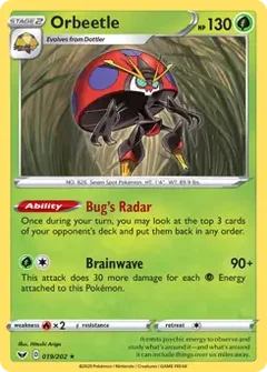 Orbeetle 019