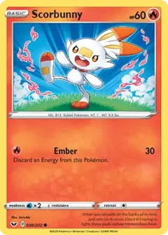 Scorbunny 030
