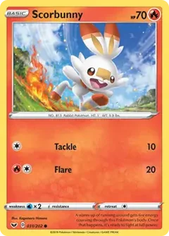 Scorbunny 031