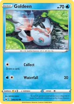 Goldeen 046