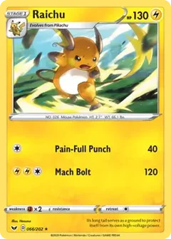 Raichu 066