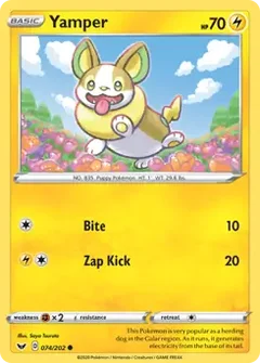 Yamper 074