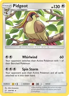 Pidgeot 124