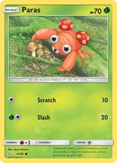 Paras 6