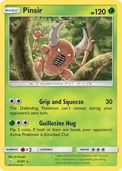 Pinsir 9