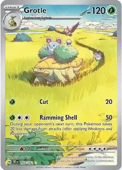 Grotle 164