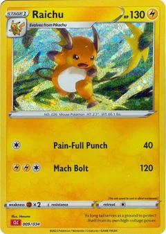 Raichu 009