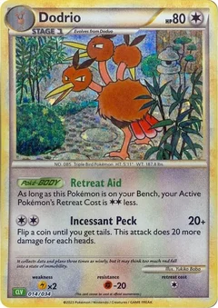 Dodrio 014