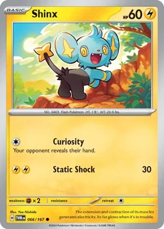 Shinx 066