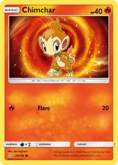 Chimchar 20