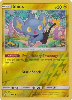 Shinx Reverse Holo 45