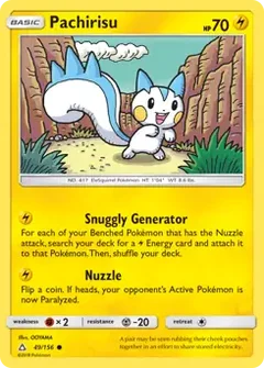 Pachirisu 49