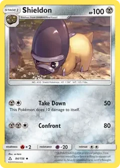 Shieldon 84