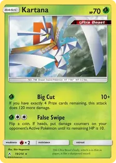 Kartana 19